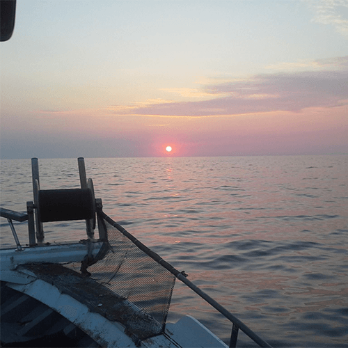 kefalonia boat trips from argostoli